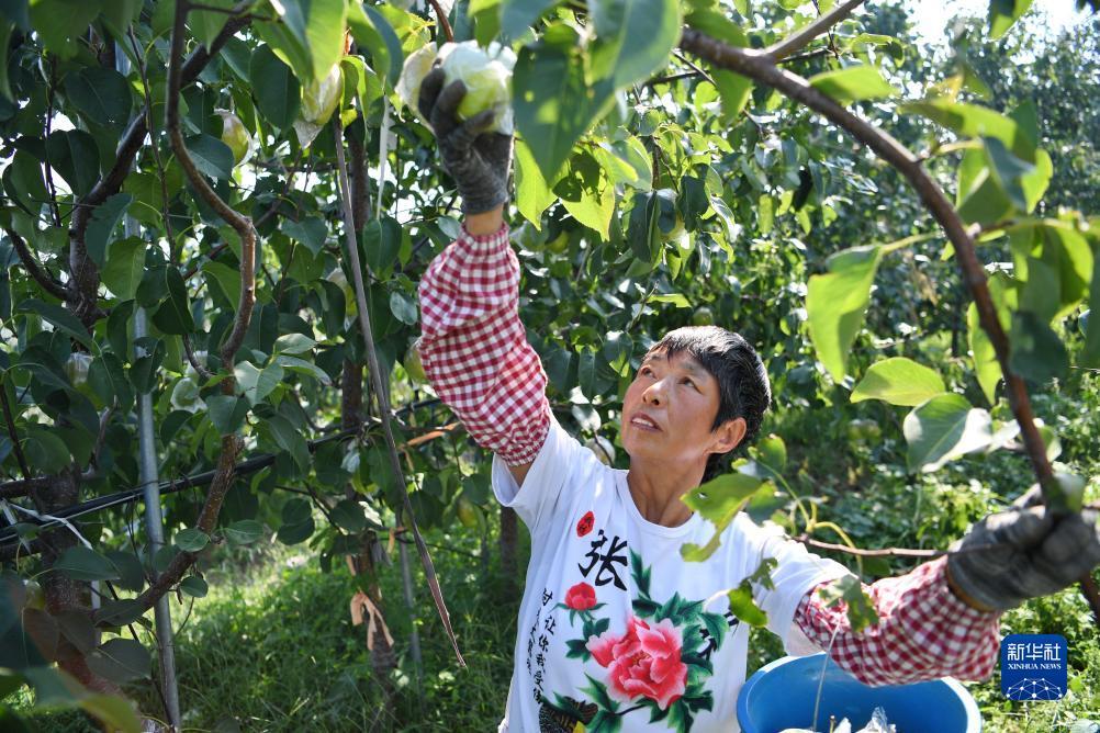 云鼎国际俱乐部